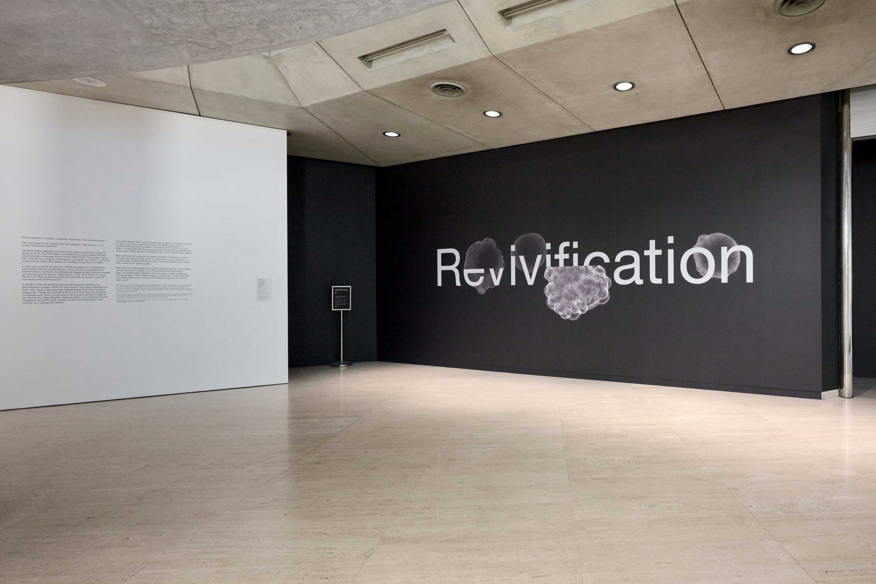 Revivification title wall