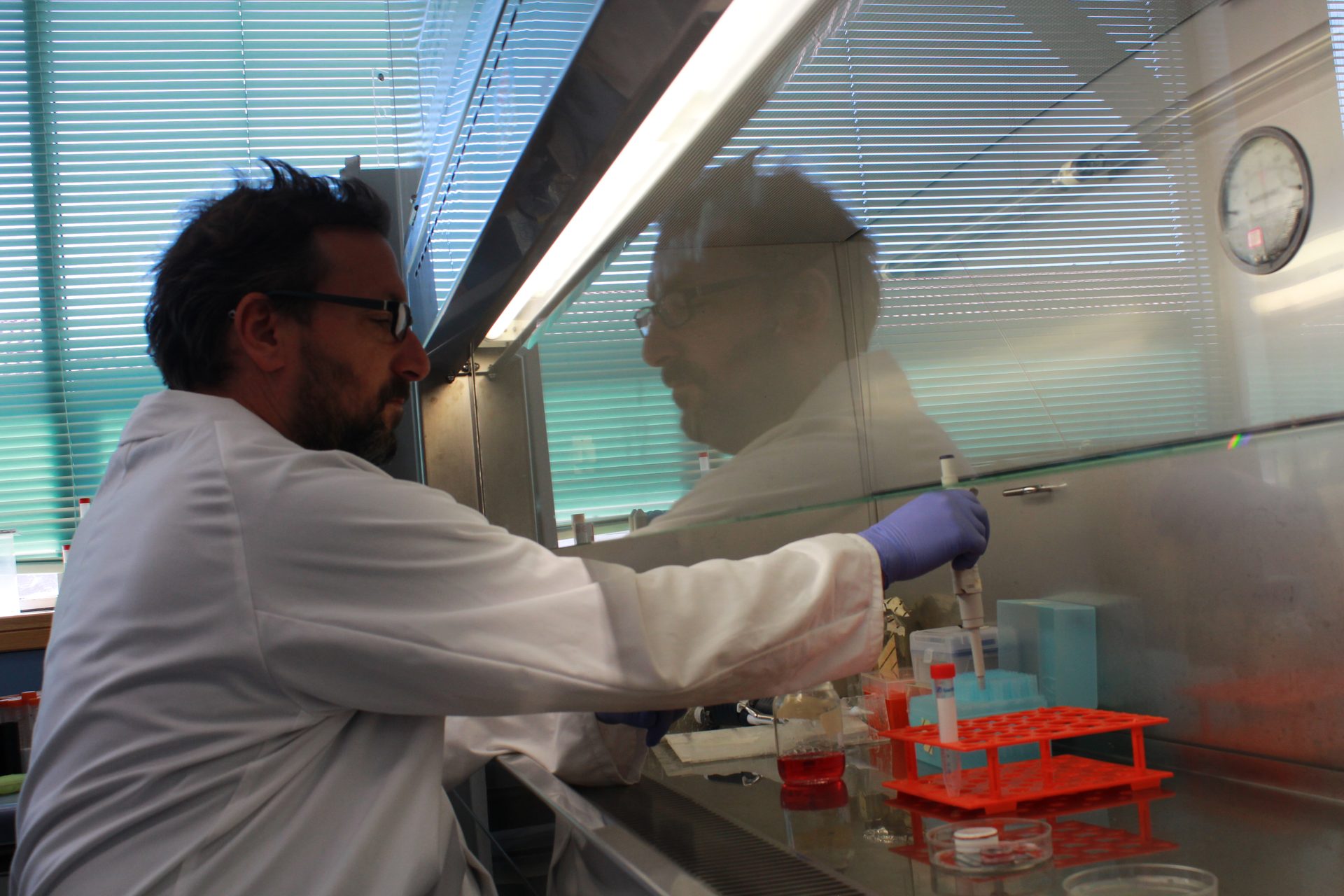 In Vitro Intelligence