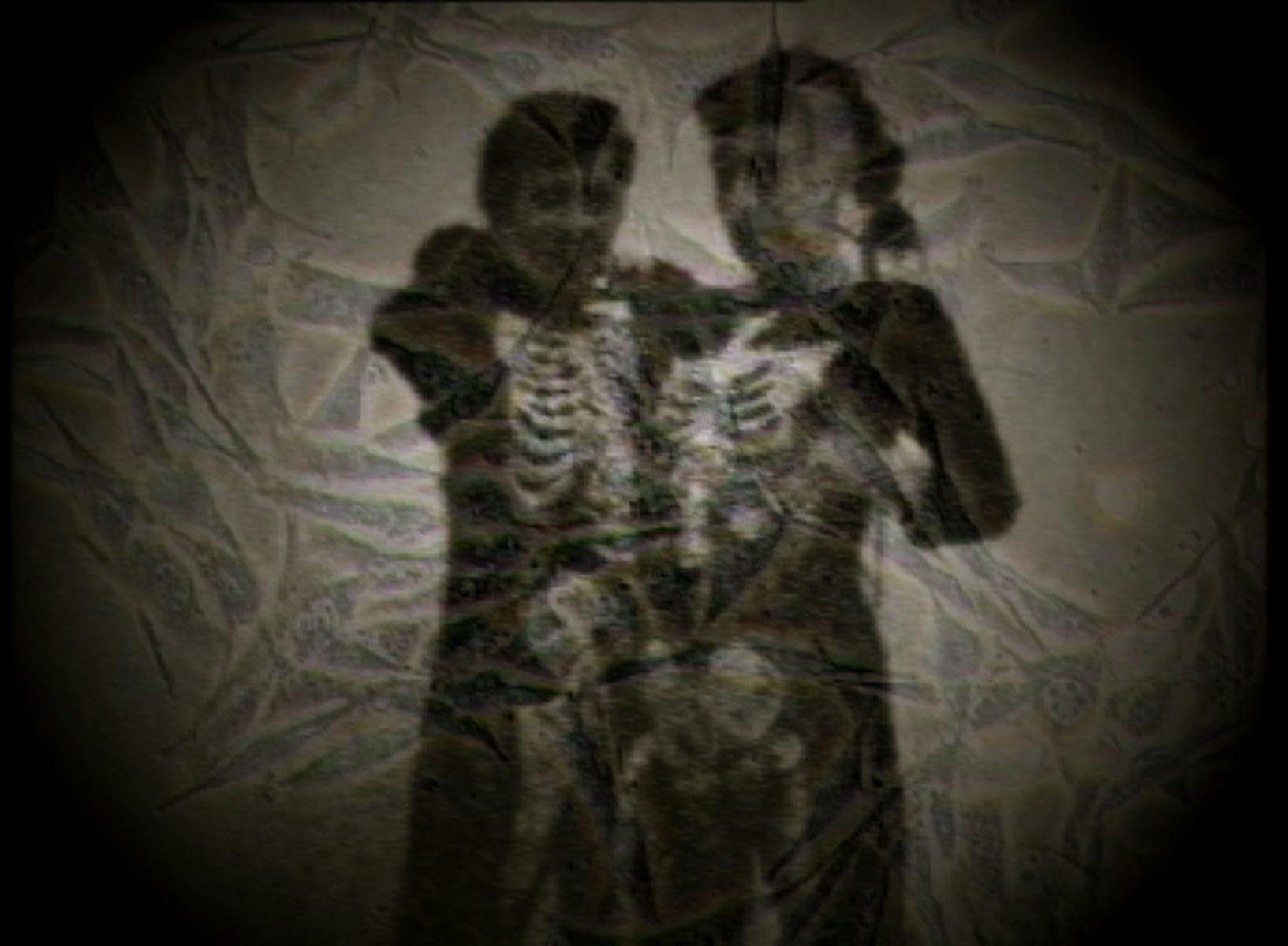 The Living Screen
