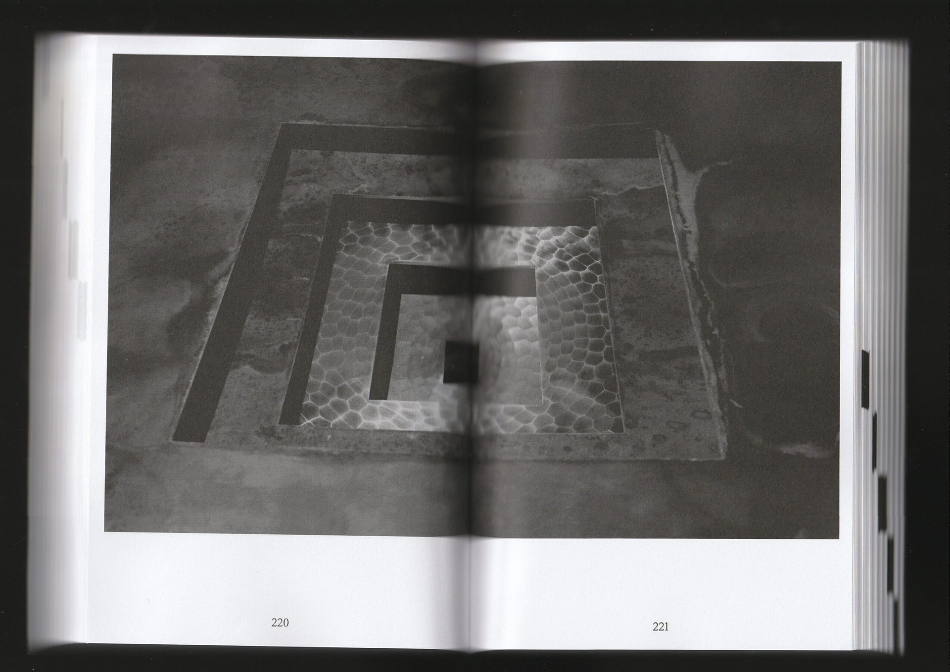 Revivification — The Book