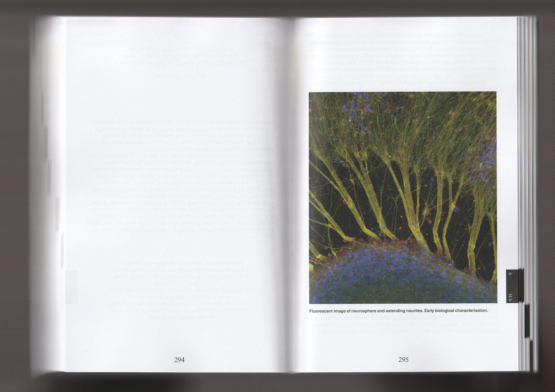 Revivification — The Book